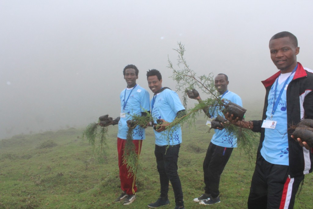 Tree Planting in Kereita Forest